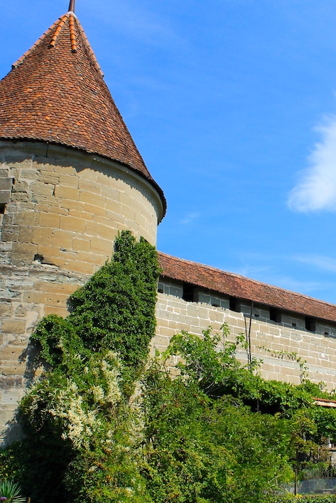 Preview of the castle of Murten